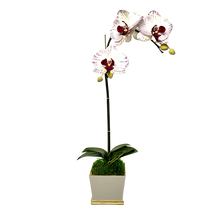 Load image into Gallery viewer, [MSP-WG-OROC] Resin Mini Square Container Grey White &amp; Gold - Artificial Orchid White &amp; Purple
