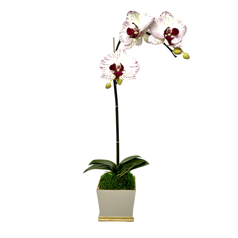 [MSP-WG-OROC] Resin Mini Square Container Grey White & Gold - Artificial Orchid White & Purple
