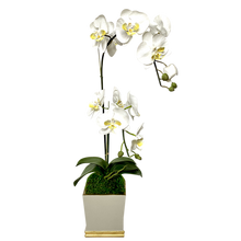 Load image into Gallery viewer, [MSP-WG-ORYEDT] Resin Mini Square Container Grey White &amp; Gold - Artificial Double Orchid White &amp; Yellow
