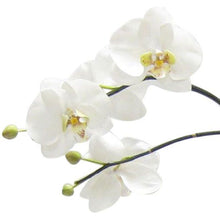Load image into Gallery viewer, [GEO-S-ORGR5] Resin Geo Bowl Silver Leaf - Artificial Orchids White &amp; Green
