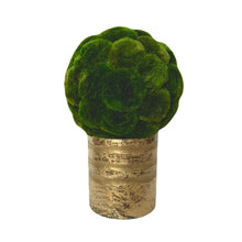 Load image into Gallery viewer, [RESS-AMTB] Gold Glass Vase Small - Artificial Moss Topiary Ball
