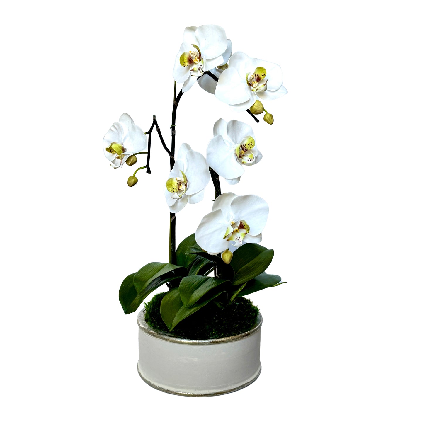 [WSRN-GS-ORGR] Wooden Short Round Container Grey Silver - Artificial Orchid White & Green