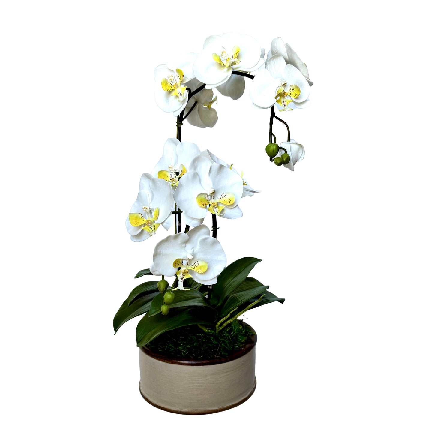 [WSRN-PD-ORYE] Wooden Short Round Container Patina - Artificial Orchid White & Yellow