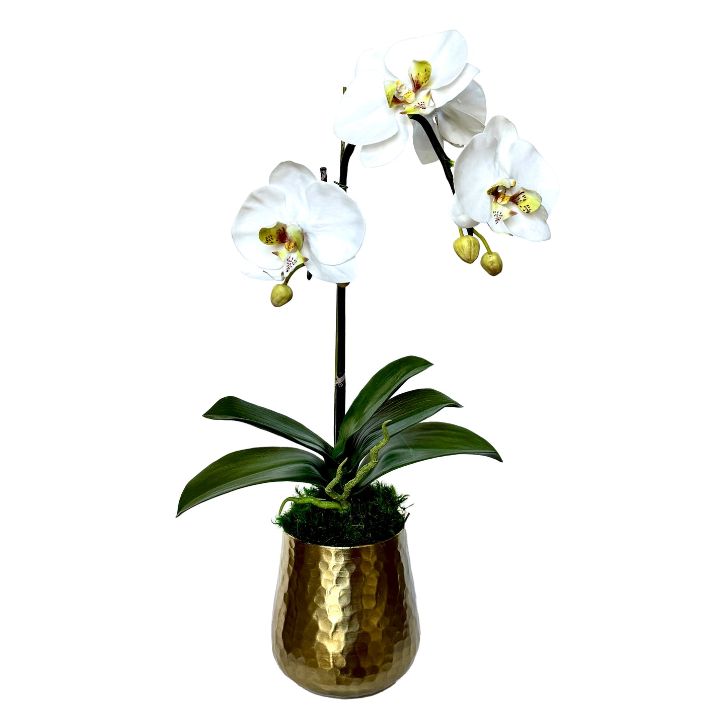 [HUXS-ORGR2] Gold Metal Hammered Vase Small - Artificial Orchid White/Green