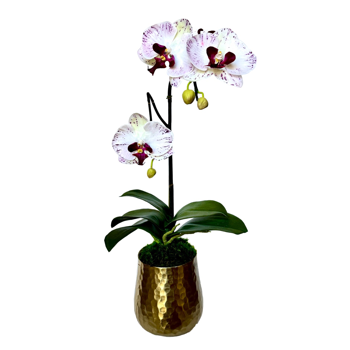 [HUXS-OROC2] Gold Metal Hammered Vase Small - Artificial Orchid White/Purple