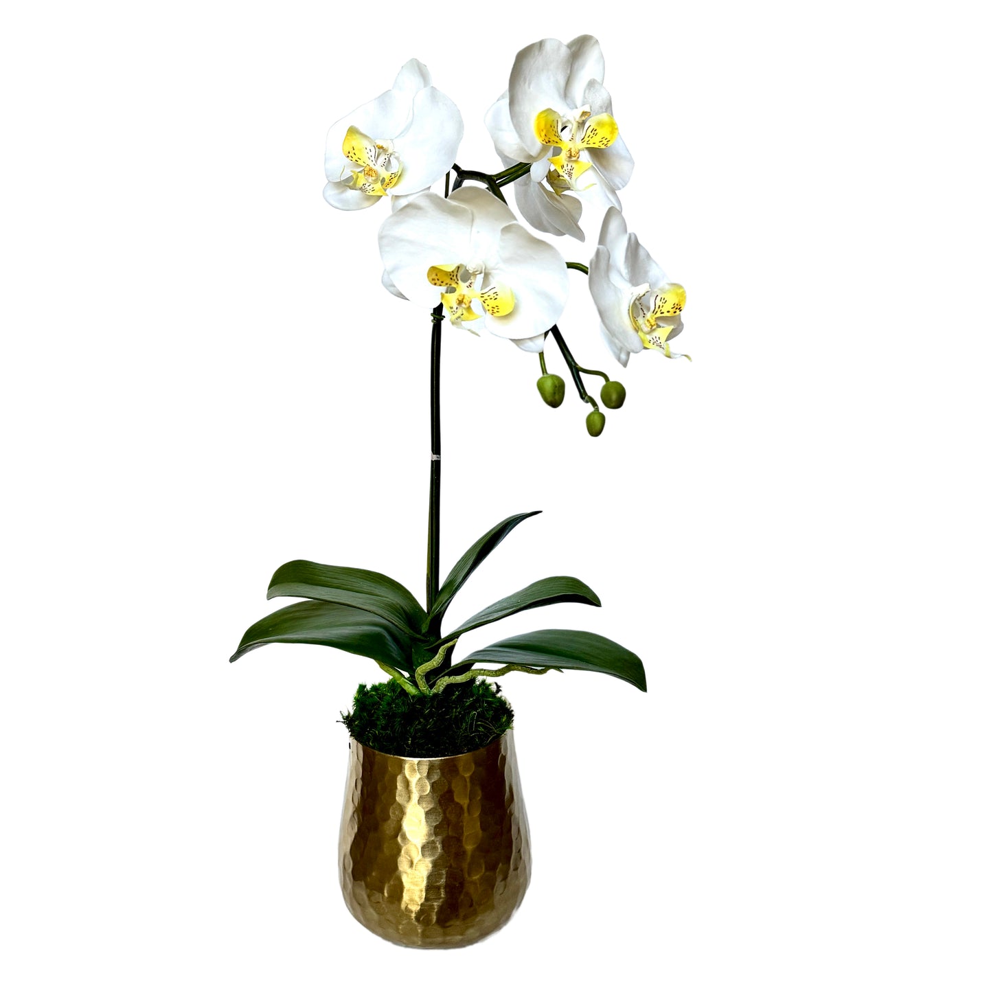 [HUXS-ORYE] Gold Metal Hammered Vase Small - Artificial Orchid White/Yellow