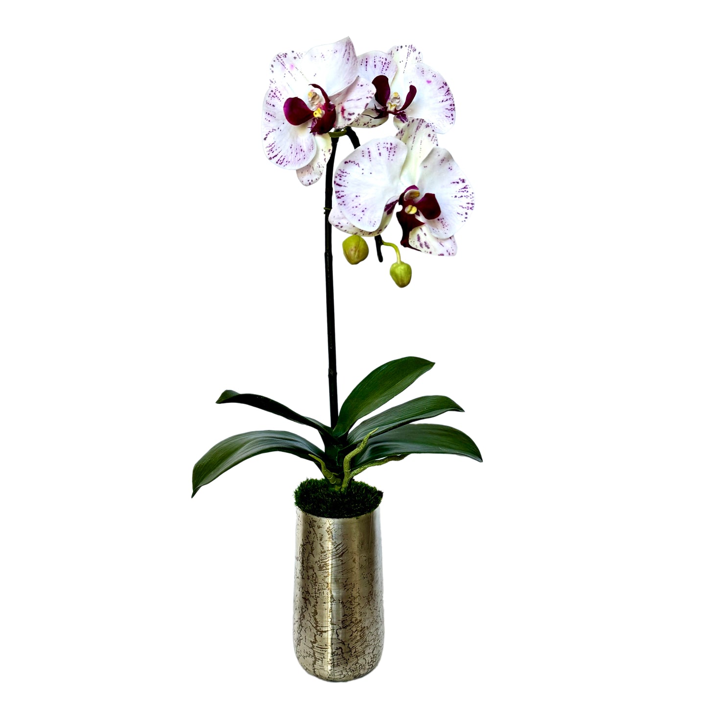 [NORS-OROC] Silver Metal Vase Small - Artificial Orchid White & Purple