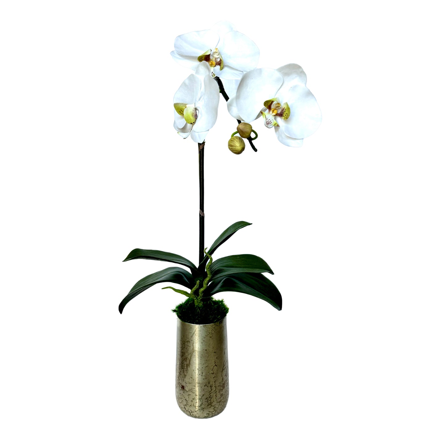 [NORS-ORGR] Silver Metal Vase Small - Artificial Orchid White & Green