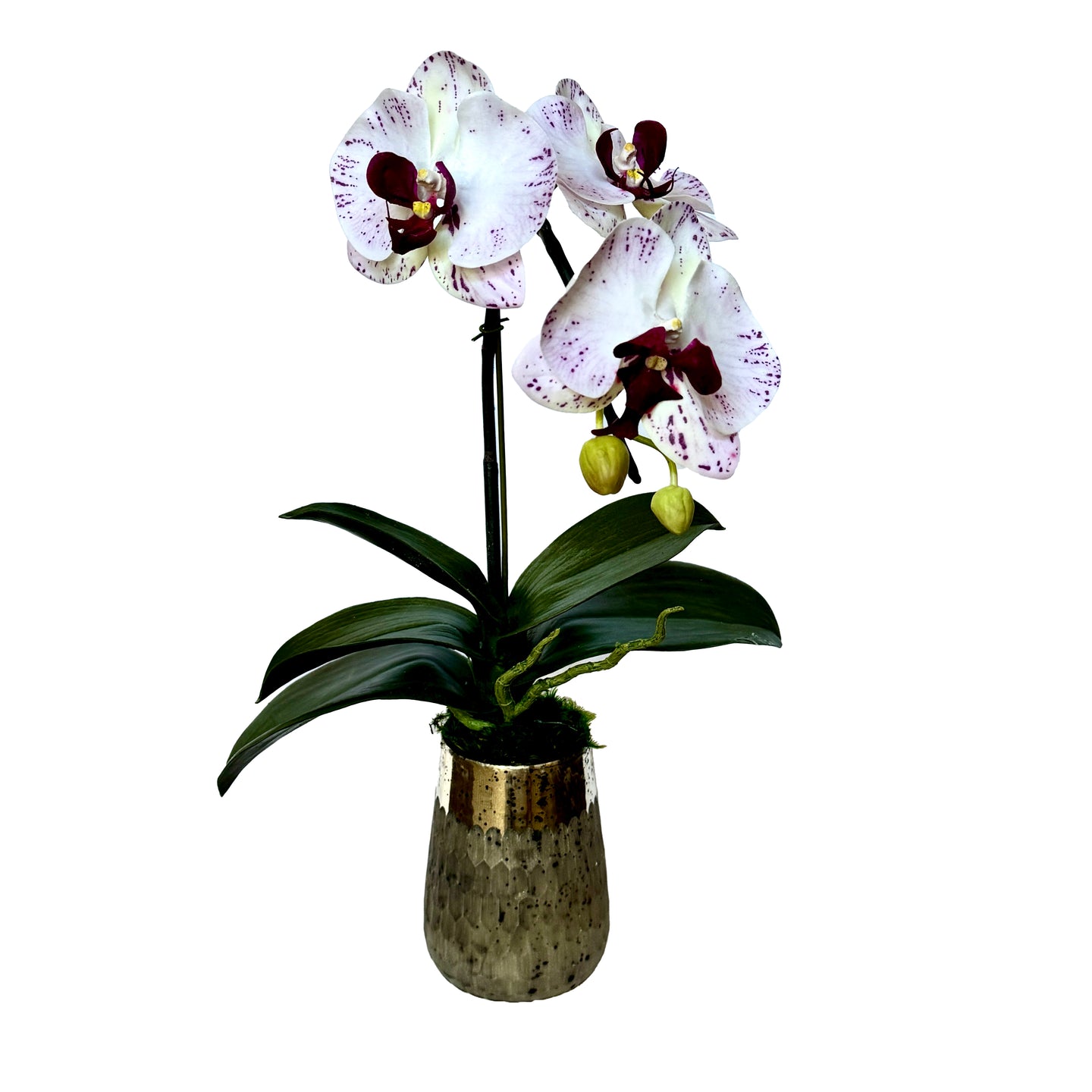 [RGVHS-OROC] Round Glass Vase Hammered Small - Artificial Orchid White & Purple