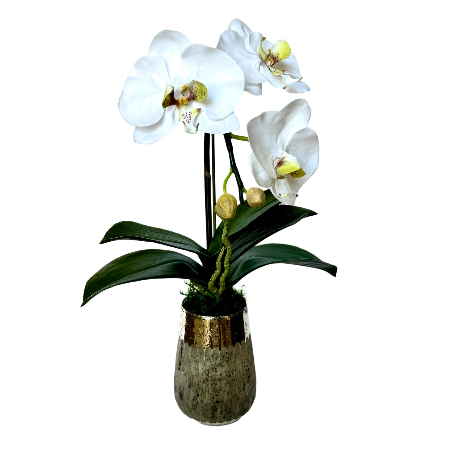 [RGVHS-ORGR] Round Glass Vase Hammered Small - Artificial Orchid White & Green