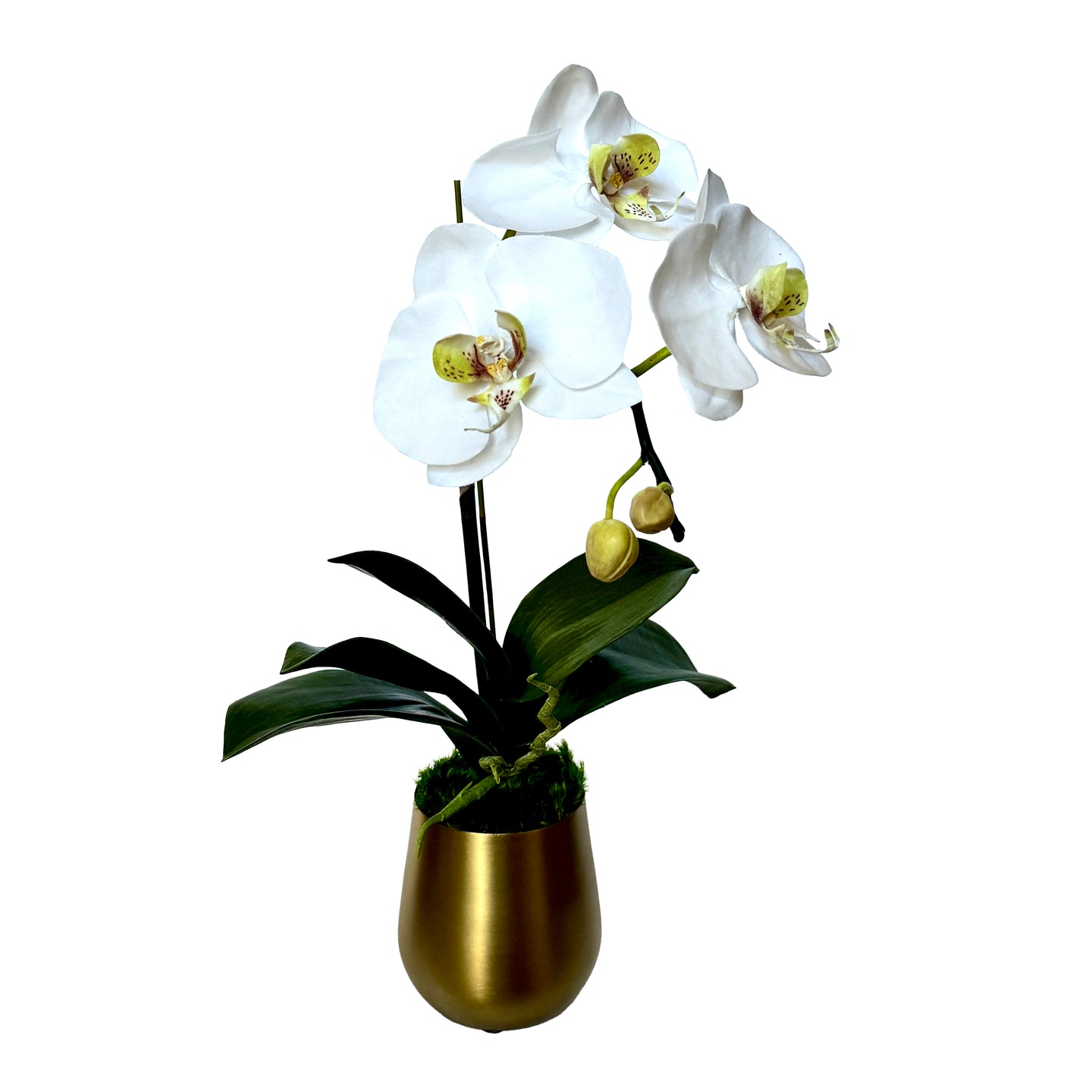 [MVGS-ORGR] Metal Vase Gold Small - Artificial Orchid White & Green