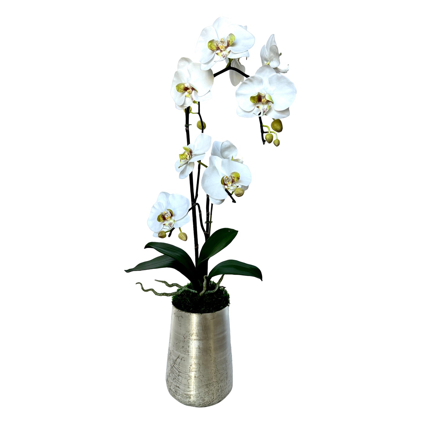 [NORL-ORGRDT] Silver Metal Vase Large - Artificial Orchid White & Green