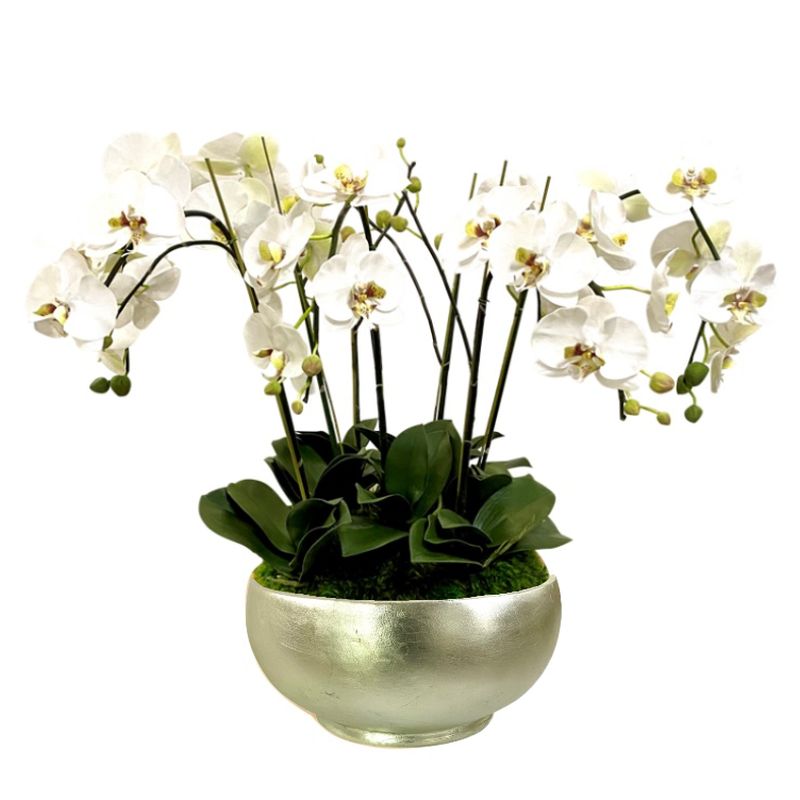 [RBL-C-ORGR7] Resin Round Bowl Large Champagne Leaf - Artificial Orchids White & Green