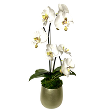 Load image into Gallery viewer, [RCS-C-ORGRDT] Resin Round Container Small Champagne Leaf - Double Orchid Green &amp; White Artificial