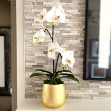 Load image into Gallery viewer, [RCS-G-ORGRDT] Resin Round Container Small Gold Leaf - Double Orchid Green &amp; White Artificial
