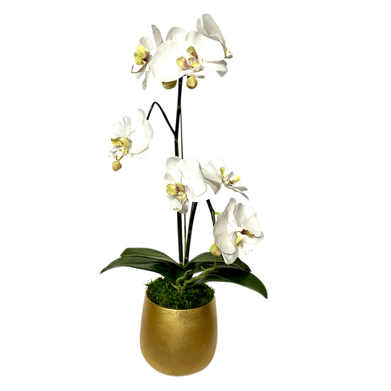 [RCS-G-ORGRDT] Resin Round Container Small Gold Leaf - Double Orchid Green & White Artificial