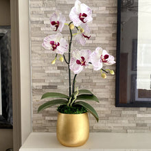 Load image into Gallery viewer, [RCS-G-OROCDT] Resin Round Container Small Gold Leaf - Double Orchid White &amp; Purple Artificial
