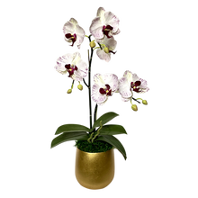 Load image into Gallery viewer, [RCS-G-OROCDT] Resin Round Container Small Gold Leaf - Double Orchid White &amp; Purple Artificial
