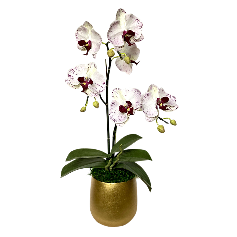 [RCS-G-OROCDT] Resin Round Container Small Gold Leaf - Double Orchid White & Purple Artificial