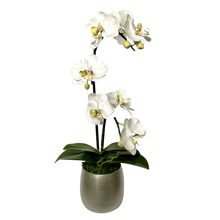 Load image into Gallery viewer, [RCS-S-ORGRDT] Resin Round Container Small Silver Leaf - Double Orchid Green &amp; White Artificial