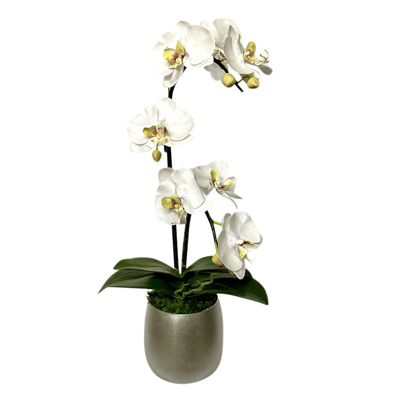 [RCS-S-ORGRDT] Resin Round Container Small Silver Leaf - Double Orchid Green & White Artificial