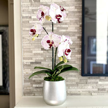 Load image into Gallery viewer, [RCS-S-OROCDT] Resin Round Container Small Silver Leaf - Double Orchid White &amp; Purple Artificial