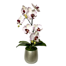 Load image into Gallery viewer, [RCS-S-OROCDT] Resin Round Container Small Silver Leaf - Double Orchid White &amp; Purple Artificial
