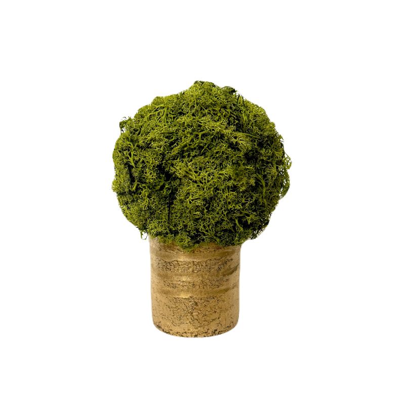 [RESS-RMTB] Gold Glass Vase Small - Reindeer Moss Topiary Ball Basil