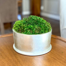 Load image into Gallery viewer, [RND-C-M] Round Short Champagne Leaf Container - Moss