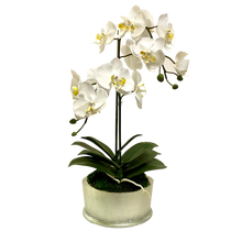 Load image into Gallery viewer, [RND-C-ORYE] Round Container Champagne Leaf - Artificial Orchid  White Yellow