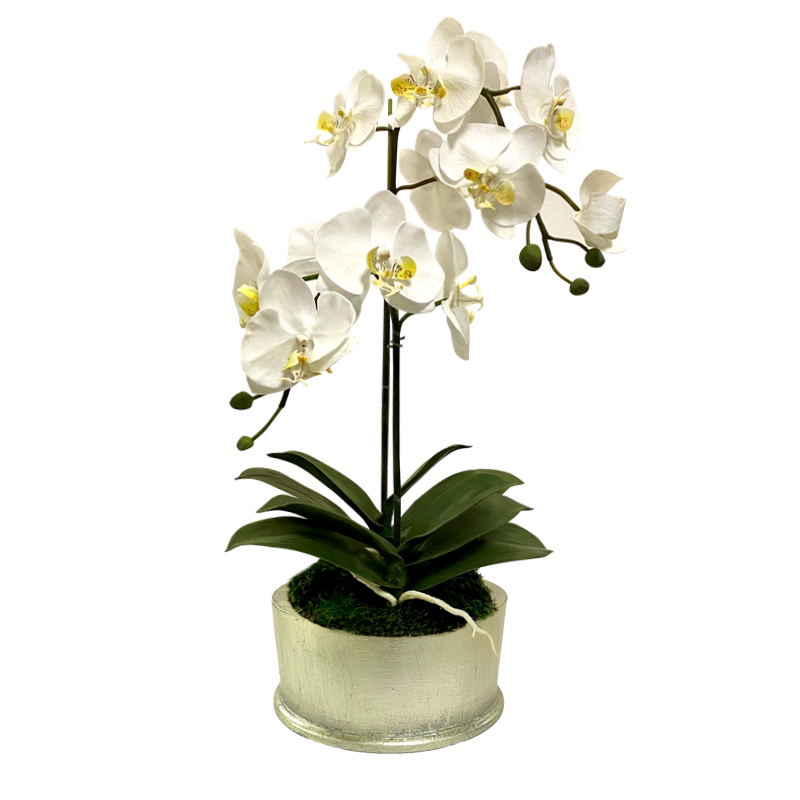 [RND-C-ORYE] Round Container Champagne Leaf - Artificial Orchid  White Yellow