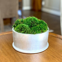 Load image into Gallery viewer, [RND-S-M] Round Short Silver Leaf Container - Moss