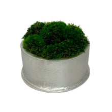Load image into Gallery viewer, [RND-S-M] Round Short Silver Leaf Container - Moss