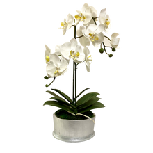 Load image into Gallery viewer, [RND-S-ORYE] Round Container Silver Leaf - Artificial Orchid  White Yellow