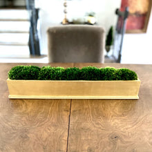 Load image into Gallery viewer, [RPL-G-M] Rect Long Gold Leaf Container - Moss

