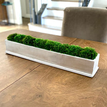 Load image into Gallery viewer, [RPL-S-M] Rect Long Silver Leaf Container - Moss
