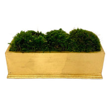 Load image into Gallery viewer, [RPS-G-M] Rect Small Gold Leaf Container - Moss