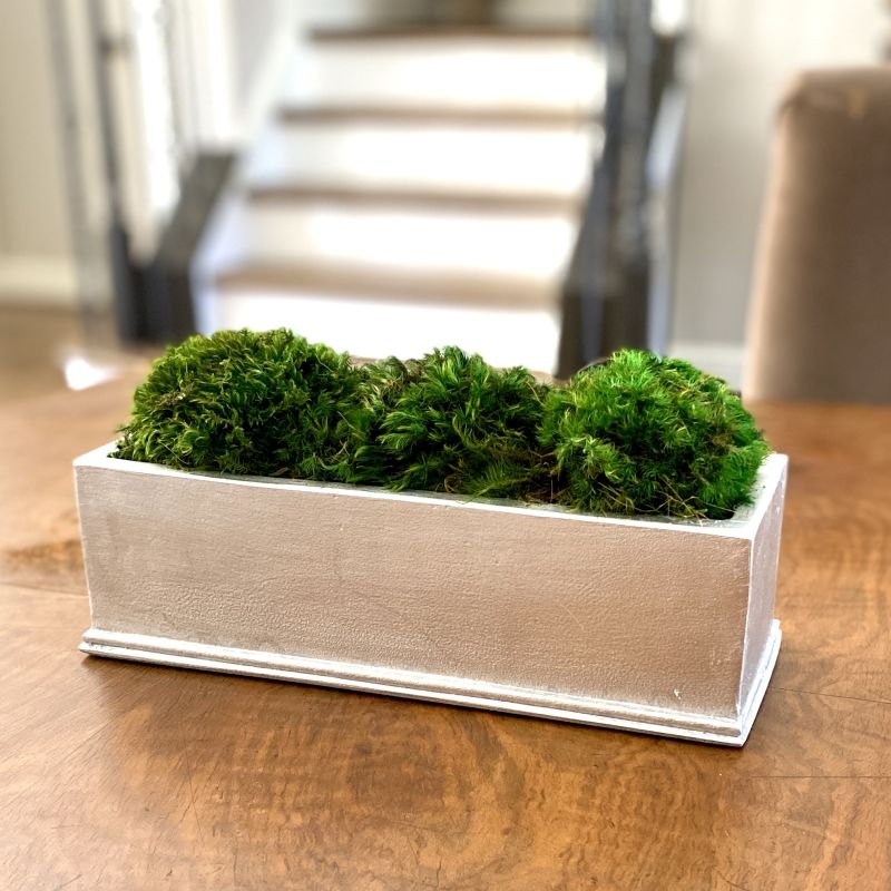 [RPS-S-M] Rect Small Silver Leaf Container - Moss