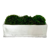 Load image into Gallery viewer, [RPS-S-M] Rect Small Silver Leaf Container - Moss