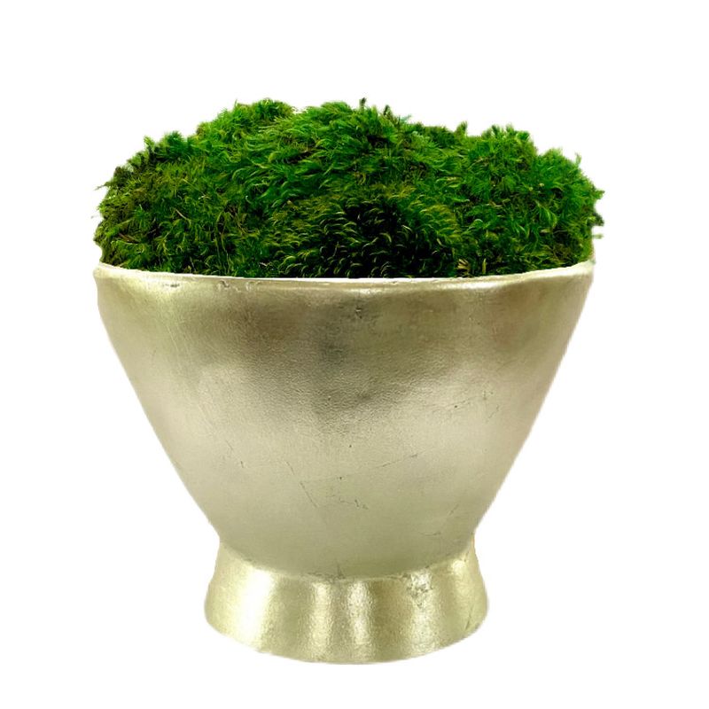 [RRCT-C-M] Resin Round Container Champagne Leaf - Preserved Moss