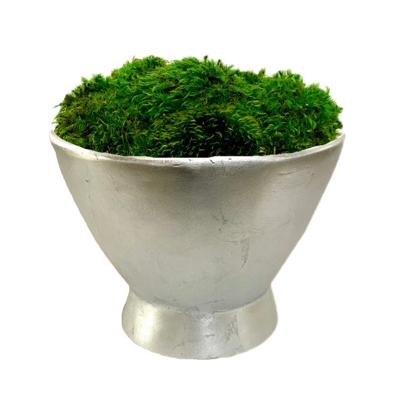 [RRCT-S-M] Resin Round Container Silver Leaf - Preserved Moss