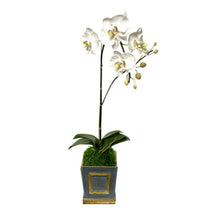 Load image into Gallery viewer, [WMSPI-DG-ORGR] Wooden Small Square Container w/Inset Dark Blue Grey - White &amp; Green Orchid Artificial
