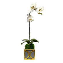 Load image into Gallery viewer, [WMSPO-DG-ORGR2] Wooden Mini Square Container w/ Circle Dark Blue Grey w/ Gold - Orchid White &amp; Green Artificial
