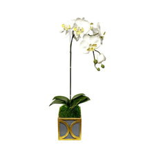 Load image into Gallery viewer, [WMSPO-DG-ORYE] Wooden Mini Square Container w/ Circle Dark Blue Grey w/ Gold - Orchid White &amp; Yellow Artificial
