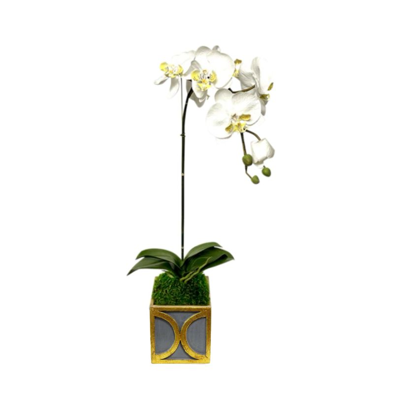 [WMSPO-DG-ORYE] Wooden Mini Square Container w/ Circle Dark Blue Grey w/ Gold - Orchid White & Yellow Artificial