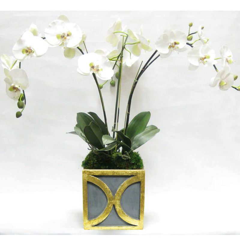 [WSPO-DG-ORGR] Wooden Square Container w/ Half Circle - Dark Blue Grey w/ Antique Gold - White & Green Orchid Artificial