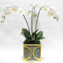 Load image into Gallery viewer, [WSPO-DG-ORYE] Wooden Square Container w/ Half Circle - Dark Blue Grey w/ Antique Gold - White &amp; Yellow Orchid Artificial
