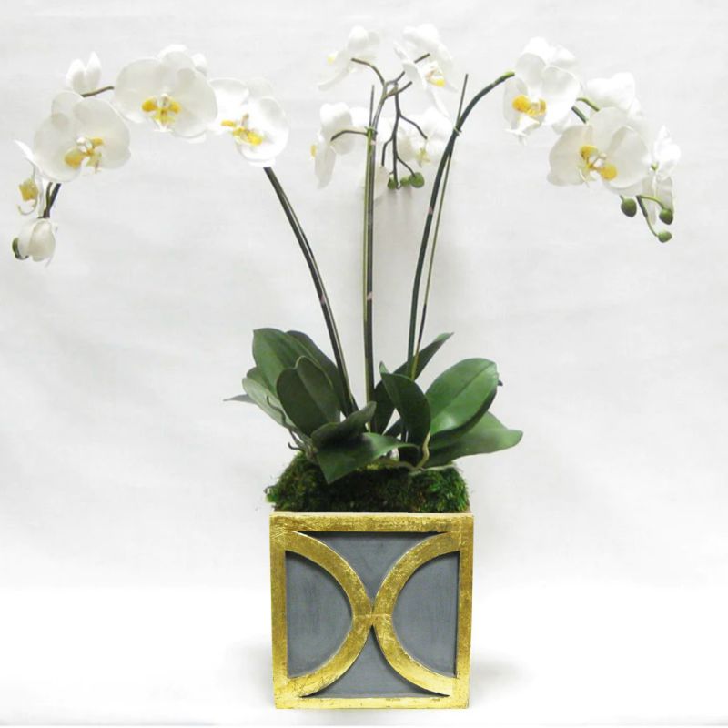 [WSPO-DG-ORYE] Wooden Square Container w/ Half Circle - Dark Blue Grey w/ Antique Gold - White & Yellow Orchid Artificial