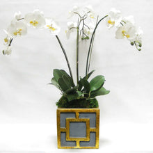 Load image into Gallery viewer, [WSPQ-DG-ORYE] Wooden Square Container w/ Square - Dark Blue Grey w/ Antique Gold - White &amp; Yellow Orchid Artificial
