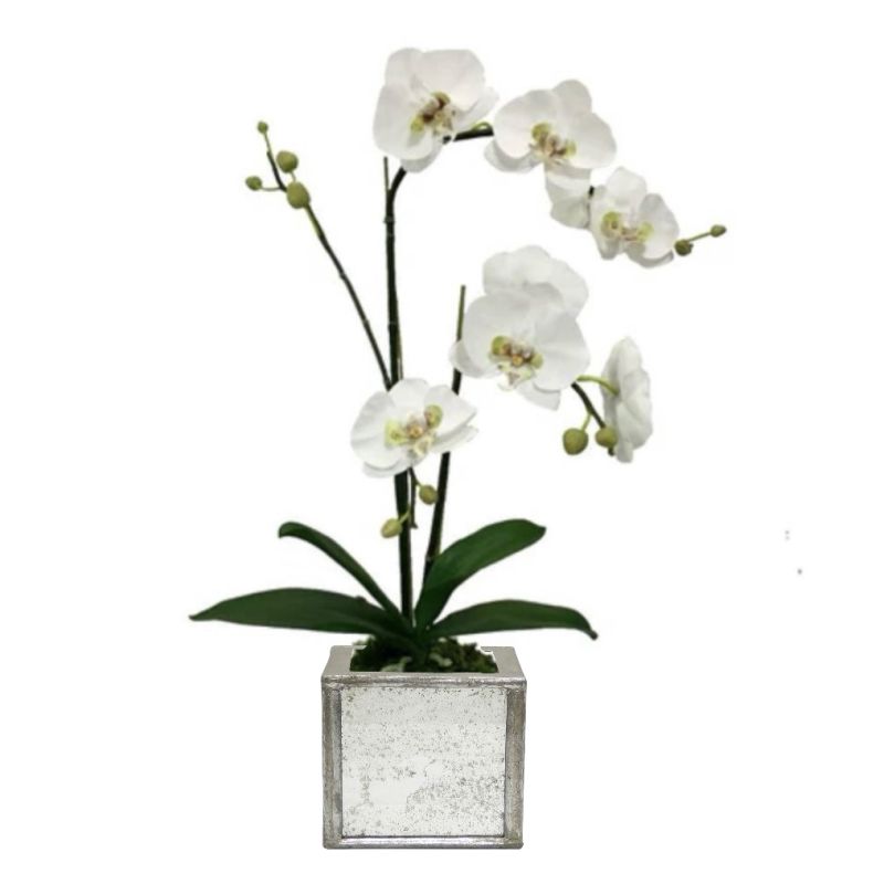 [WSPS-SAM-ORGRDT] Wooden Square Planter Small - Silver Antique w/ Antique Mirror & Medallion - White & Green Orchid Artificial